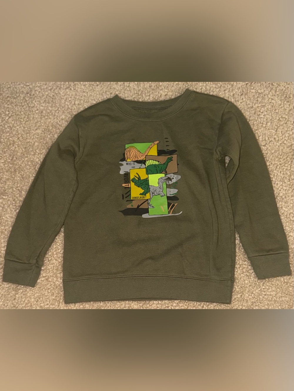 Garanimals Olive Green Dinosaur Pullover Sweatshirt
